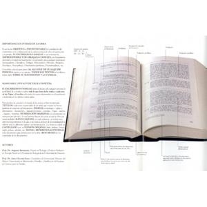 ENCHIRIDION FAMILIAE (10 VOLÚMENES) | 9788431321277 | SARMIENTO FRANCO, AUGUSTO / ESCRIVÁ IVARS, JAVIER