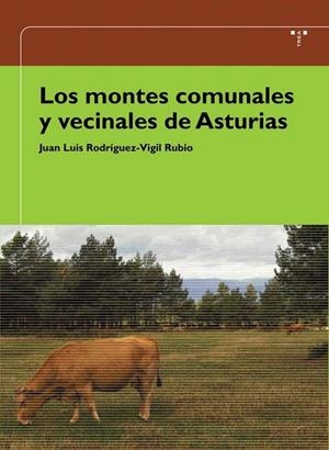 MONTES COMUNALES Y VECINALES DE ASTURIAS, LOS | 9788497041539 | RODRÍGUEZ-VIGIL RUBIO, JUAN LUIS