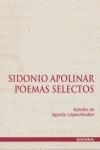 SIDONIO APOLINAR | 9788431323431 | LÓPEZ KINDLER, AGUSTÍN