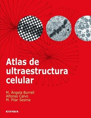 ATLAS DE ULTRAESTRUCTURA CELULAR | 9788431326494 | BURREL BUSTOS, MARÍA ÁNGELA / CALVO GONZÁLEZ, ALFONSO / SESMA EGOZCUE, MARÍA PILAR
