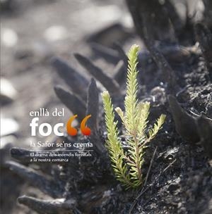 ENLLÀ DEL FOC | 9788415802129 | VARIOS AUTORES