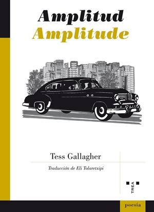 AMPLITUDE | 9788497048576 | GALLAGHER, TESS