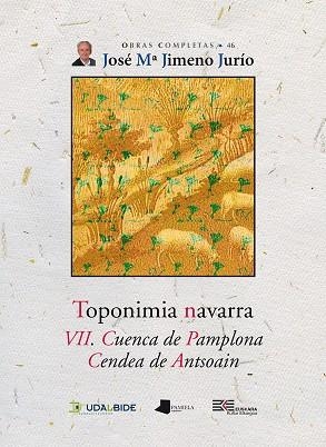 TOPONIMIA NAVARRA. VII. CUENCA DE PAMPLONA. CENDEA DE ANTSOAIN | 9788491720058 | JIMENO JURÍO, JOSÉ MARÍA