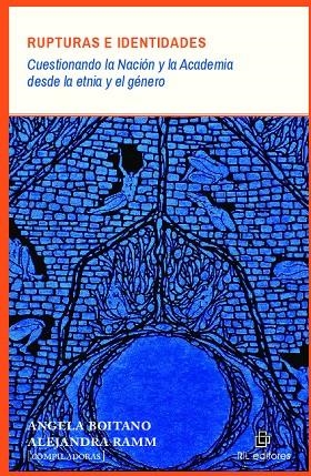 RUPTURAS E IDENTIDADES : CUESTIONANDO LA NACION Y LA ACADEMIA | 9789560101990 | RAMM, ALEJANDRA / BOITANO, ANGELA
