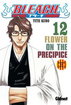 BLEACH 12 | 9788483574492 | KUBO, TITE