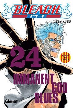 BLEACH 24 | 9788483578629 | KUBO, TITE