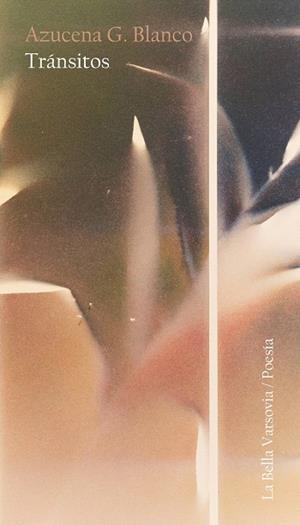 TRÁNSITOS | 9788412090482 | G.BLANCO, AZUCENA
