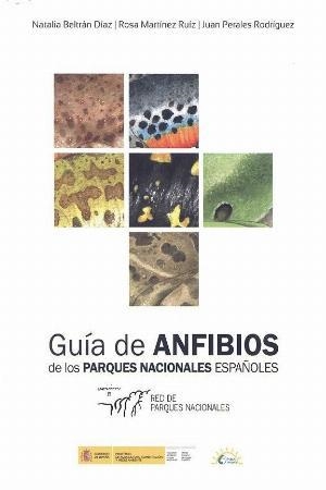 GUÍA DE ANFIBIOS DE LOS PARQUES NACIONALES ESPAÑOLES | 9788480149006 | BELTRÁN DÍAZ, NATALIA / MARTÍNEZ RUÍZ, ROSA / PERALES RODRÍGUEZ, JUAN