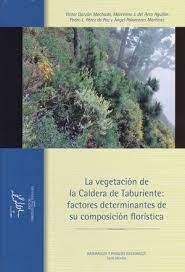 VEGETACIÓN DE LA CALDERA DE TABURIENTE, LA | 9788480148771 | GARZÓN MACHADO, VÍCTOR / DEL ARCO AGUILAR, MARCELINO J. / PÉREZ DE PAZ, PEDRO L. / PALOMARES MARTÍNE