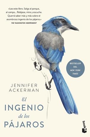 INGENIO DE LOS PÁJAROS, EL | 9788408241256 | ACKERMAN, JENNIFER