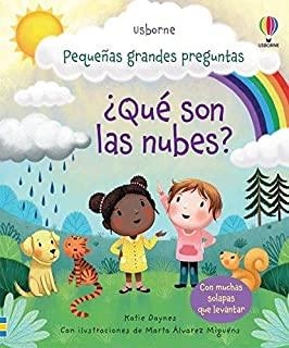QUÉ SON LAS NUBES | 9781474993470 | DAYNES, KATIE
