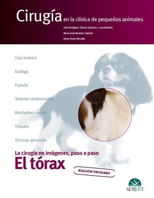 TORAX. CIRUGIA EN LA CLINICA DE PEQUEÑOS ANIMALES | 9788418498763 | RODRIGUEZ GOMEZ, JOSE