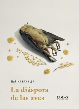 DIASPORA DE LAS AVES, LA | 9788418079955 | GAY YLLA, MARINA