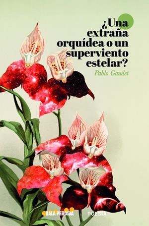 ¿UNA ORQUÍDEA SALVAJE O UN VIENTO SUPERESTELAR? | 9788412361018 | GAUDET, PABLO