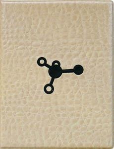 BARCELONA LAB | 9788495951014