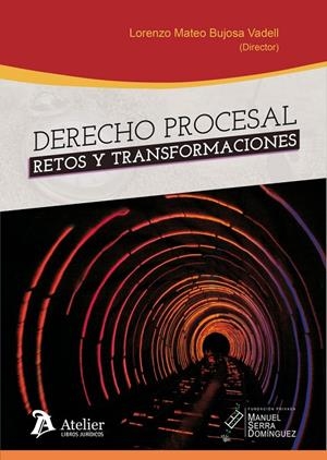 DERECHO PROCESAL : RETOS Y TRANSFORMACIONES | 9788418244445 | BUJOSA VADELL, LORENZO MATEO/ GONZALEZ PULIDO, IRE