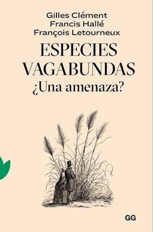 ESPECIES VAGABUNDAS | 9788425233319 | CLÉMENT, GILLES / HALLÉ, FRANCIS / LETOURNEUX, FRANÇOIS