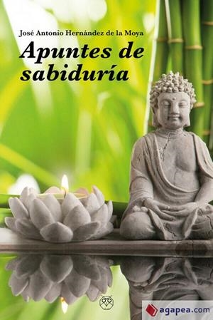 APUNTES DE SABIDURIA | 9788412325072 | HERNANDEZ DE LA MOYA, JOSE ANTONIO
