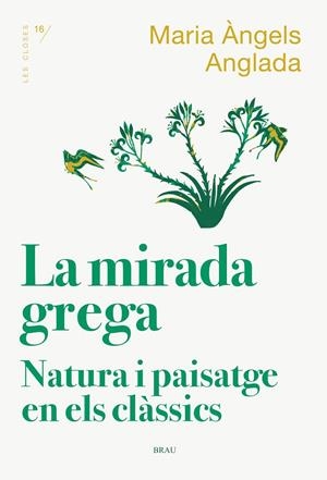MIRADA GREGA, LA | 9788418096167 | ANGLADA I D'ABADAL, MARIA ÀNGELS