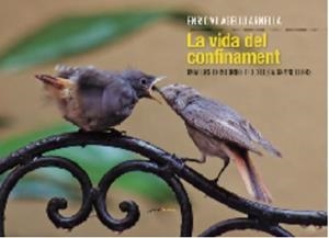 VIDA DEL CONFINAMENT, LA : IMATGES I HISTORIES D'OCELLS A GRANOLLERS | 9788412175042 | VILAGELIU, ENRIC