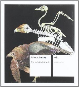CINCO LUNAS | 9788477338314 | AVELLANED RUIZ, PEDRO