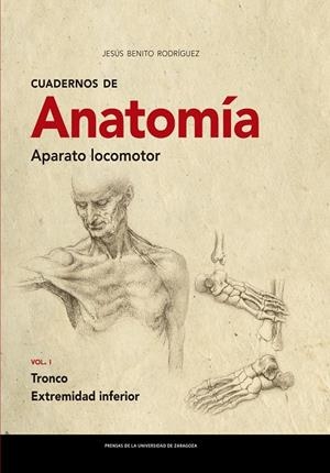 CUADERNOS DE ANATOMÍA. APARATO LOCOMOTOR | 9788413401874 | BENITO RODRÍGUEZ, JESÚS
