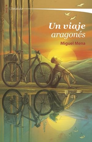 VIAJE ARAGONÉS, UN | 9788417358273 | MENA HIERRO, MIGUEL
