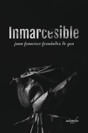INMARCESIBLE | 9788417169589 | FERNÁNDEZ DE GEA, JUAN FRANCISCO