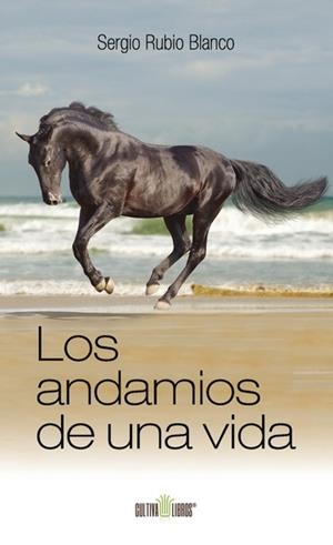 ANDAMIOS DE UNA VIDA, LOS | 9788415826811 | RUBIO BIANCO, SERGIO
