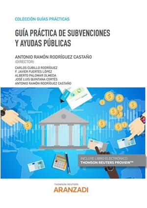 GUIA PRACTICA DE SUBVENCIONES Y AYUDAS PUBLICAS | 9788413469140 | PALOMAR OLMEDA, ALBERTO