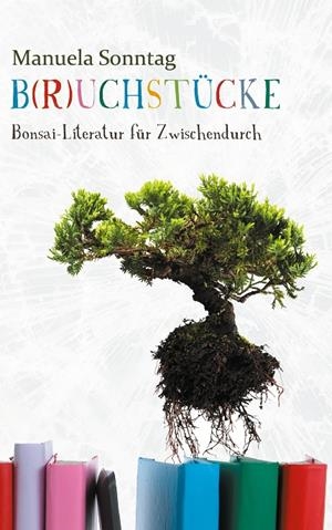 B(R)UCHSTÜCKE | 9783752856552 | SONNTAG, MANUELA
