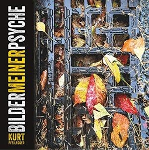 BILDER MEINER PSYCHE | 9783751936712 | PFEILEGGER, KURT