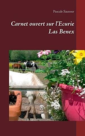 CARNET OUVERT SUR L'ECURIE LAS BENEX | 9782322032082 | SAUTOUR, PASCALE