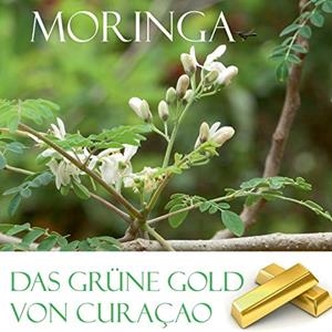 DAS GRÜNE GOLD VON CURACAO | 9783734793011 | VERHEUGEN, ELKE