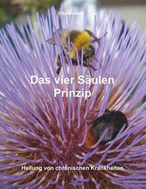 DAS VIER SAULEN PRINZIP | 9783732255771 | BICHSEL, DITA