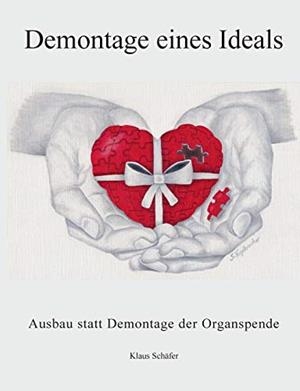DEMONTAGE EINES IDEALS | 9783751938099 | SCHAFER, KLAUS