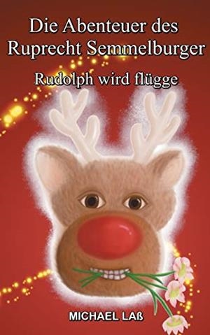 DIE ABENTEUER DES RUPRECHT SEMMELBURGER | 9783751902526 | LASS, MICHAEL