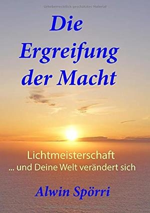 DIE ERGREIFUNG DER MACHT | 9783750403000 | SPORRI, ALWIN