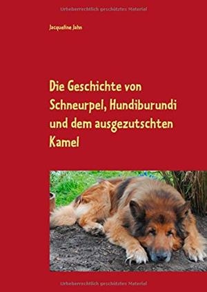 DIE GESCHICHTE VON SCHNEURPEL, HUNDIBURUNDI UND DEM AUSGEZUTSCHTEN KAMEL | 9783752811544 | JAHN, JACQUELINE