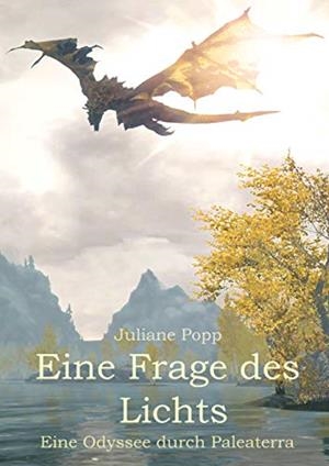 EINE FRAGE DES LICHTS | 9783750412866 | POPP, JULIANE