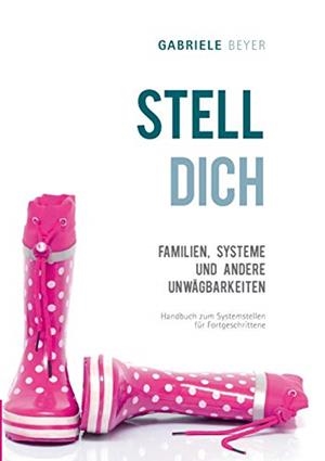 FAMILIEN, SYSTEME UND ANDERE UNWÄGBARKEITEN | 9783750490901 | BEYER, GABRIELE