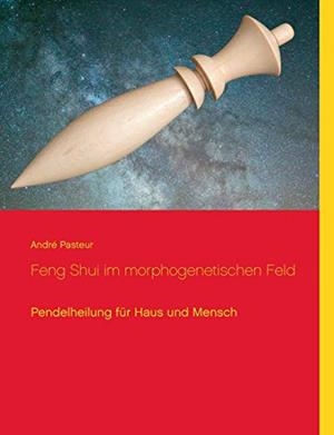FENG SHUI IM MORPHOGENETISCHEN FELD | 9783751930802 | PASTEUR, ANDRE