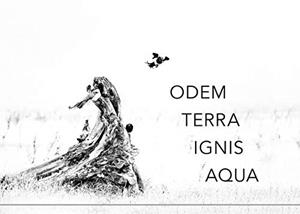 GEDICHTE19 | 9783749451906 | TROPPKO, HERWIG K.