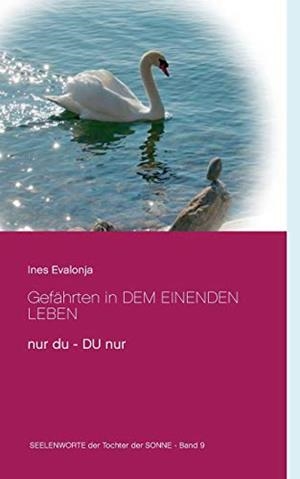 GEFÄHRTEN IN DEM EINENDEN LEBEN | 9783752820577 | EVALONJA, INES