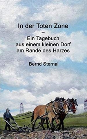 IN DER TOTEN ZONE | 9783749497485 | STERNAL, BERND