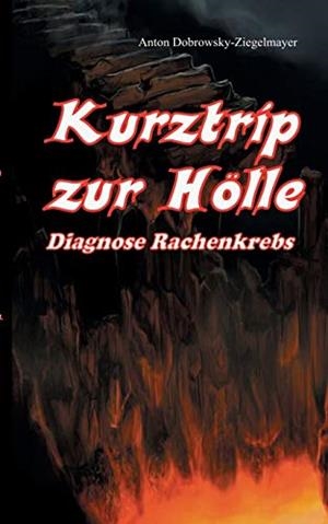 KURZTRIP ZUR HÖLLE DIAGNOSE RACHENKREBS | 9783750435193 | DOBROWSKY-ZIEGELMAYER, ANTON
