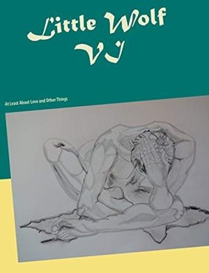 LITTLE WOLF VI | 9783751915687 | THIEME, HEIKE