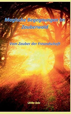 MAGISCHE BEGEGNUNGEN IM ZAUBERWALD | 9783746024783 | SOLO, ULRIKE