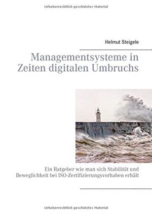 MANAGEMENTSYSTEME IN ZEITEN DIGITALEN UMBRUCHS | 9783749456246 | STEIGELE, HELMUT