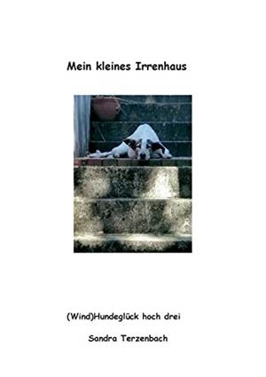 MEIN KLEINES IRRENHAUS | 9783751900218 | TERZENBACH, SANDRA